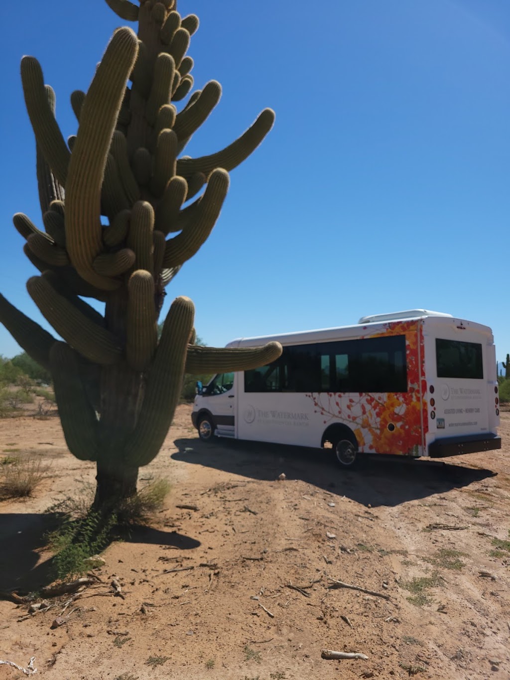 Jiffy Lube | 405 W Valencia Rd, Tucson, AZ 85706, USA | Phone: (520) 294-9809