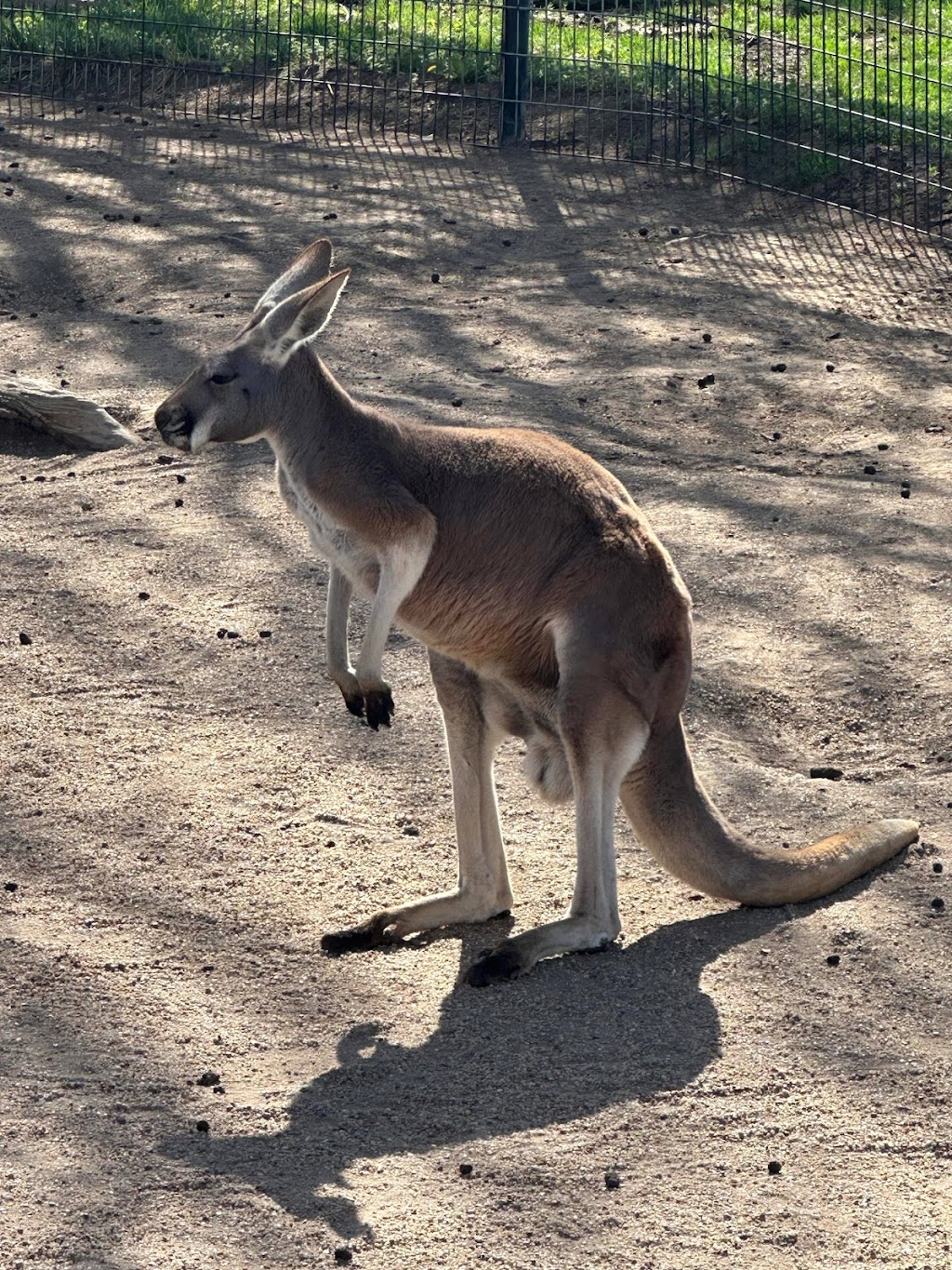 Tanganyika Wildlife Park | 1000 S Hawkins Ln, Goddard, KS 67052, USA | Phone: (316) 794-8954