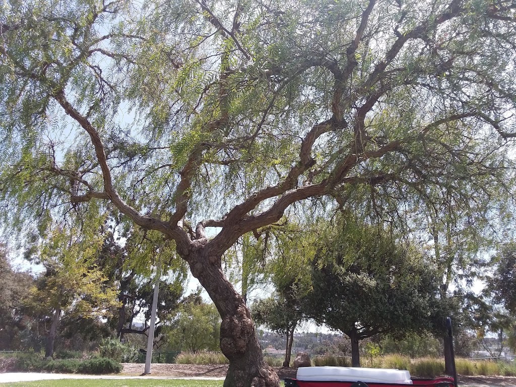 Shadowridge Park | 2101 Lupine Hills Dr, Vista, CA 92081, USA | Phone: (760) 726-1340