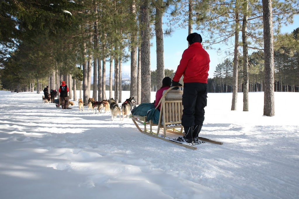 Mont-Tremblant Dogsledding -Traîneau à Chiens Tremblant | 121 Chem. de lAlbatros, Mont-Tremblant, QC J8E 1S1, Canada | Phone: (819) 681-5519