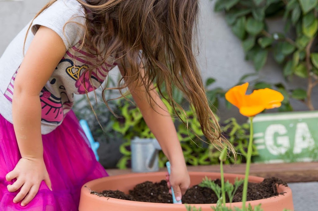 Treehouse Tots Preschool | 5460 Inglewood Blvd, Culver City, CA 90230, USA | Phone: (310) 437-0329