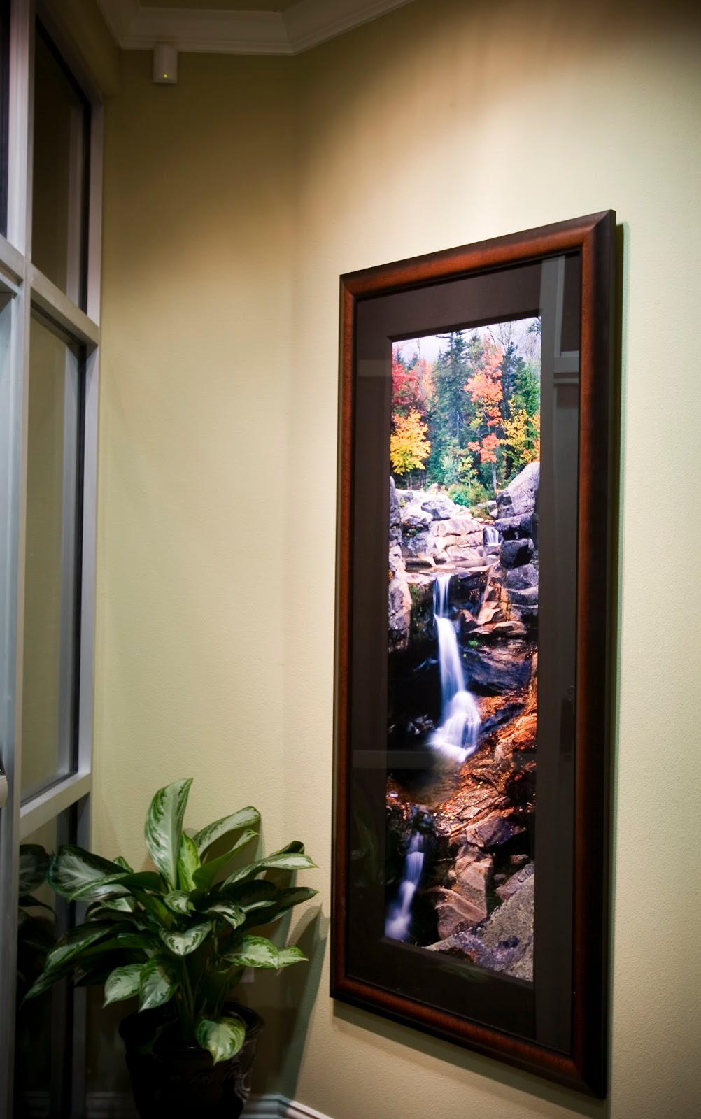Sarah J. Morris DDS and Associates | 2551 River Park Dr UNIT 210, Fort Worth, TX 76116, USA | Phone: (817) 732-4419