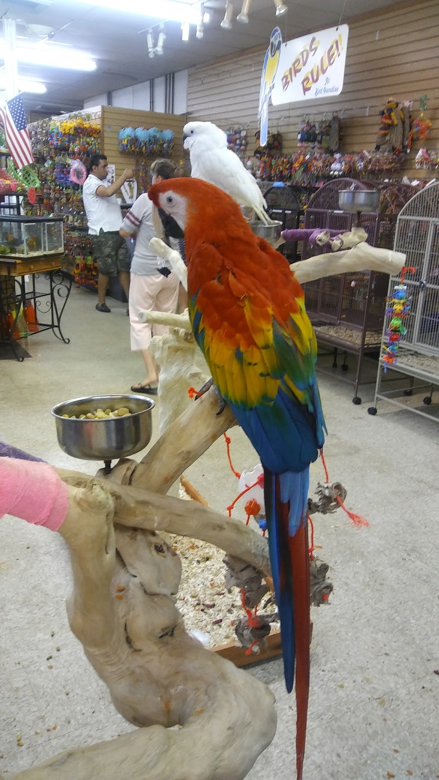 My Bird Store | 551 US-130, Burlington, NJ 08016, USA | Phone: (800) 650-7387