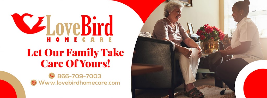 Lovebird Home Care | 4350 Lincoln Hwy, Matteson, IL 60443, USA | Phone: (708) 580-6956