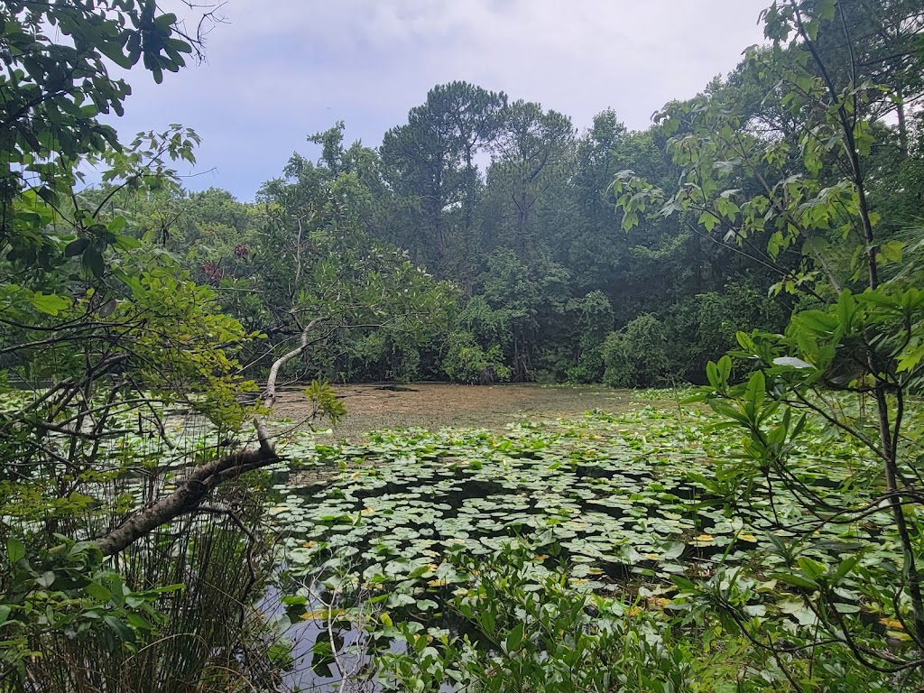 University Of North Florida Nature Trails | Recreation and Wellness, 1 UNF Dr. Bldg 61, Rm 1200, Jacksonville, FL 32224, USA | Phone: (904) 620-4769