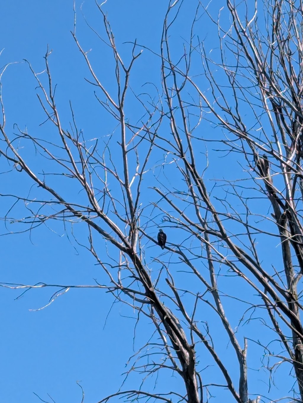 Audubon Islands State Nature Preserve | Maumee, OH 43537, USA | Phone: (614) 265-6565