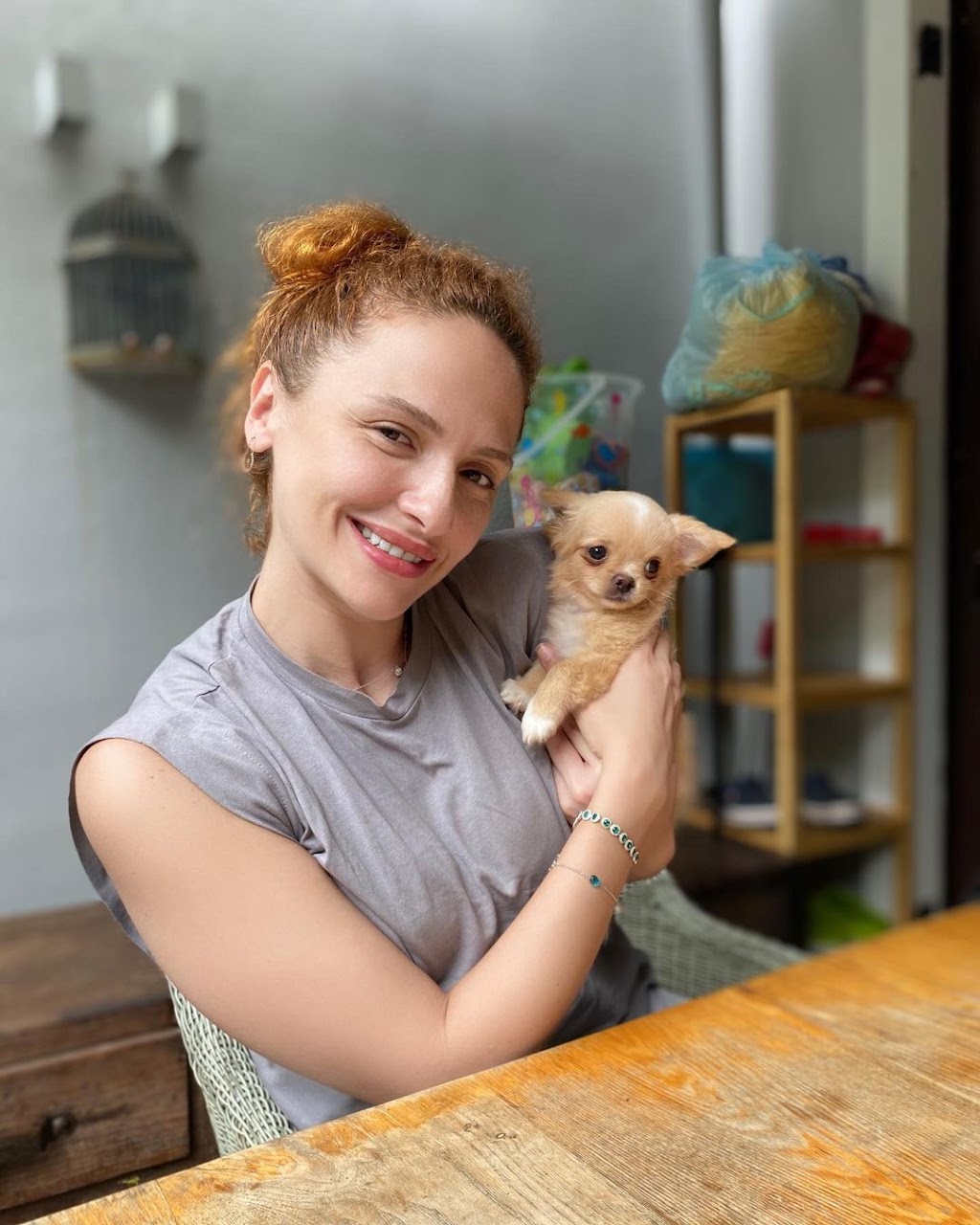 Jays Home Of Chihuahuas | 2104 Savannah Terrace SE, Washington, DC 20020, USA | Phone: (202) 978-8737