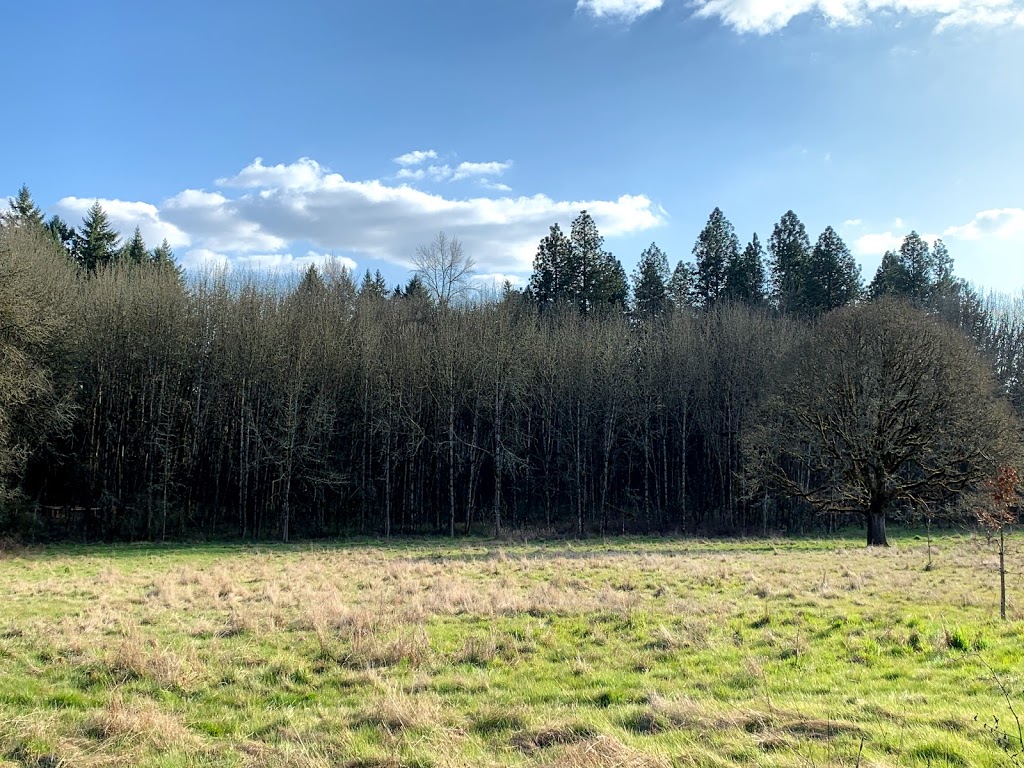 Dirksen Nature Park | 11130 SW Tiedeman Ave, Tigard, OR 97223, USA | Phone: (503) 718-2591