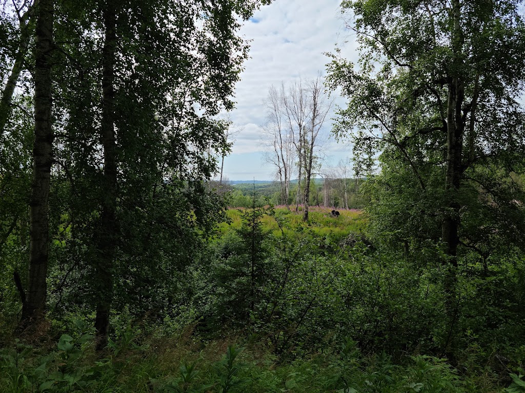 Nancy Lake State Recreation Area | Nancy Lake Pkwy, Willow, AK 99688, USA | Phone: (907) 745-3975