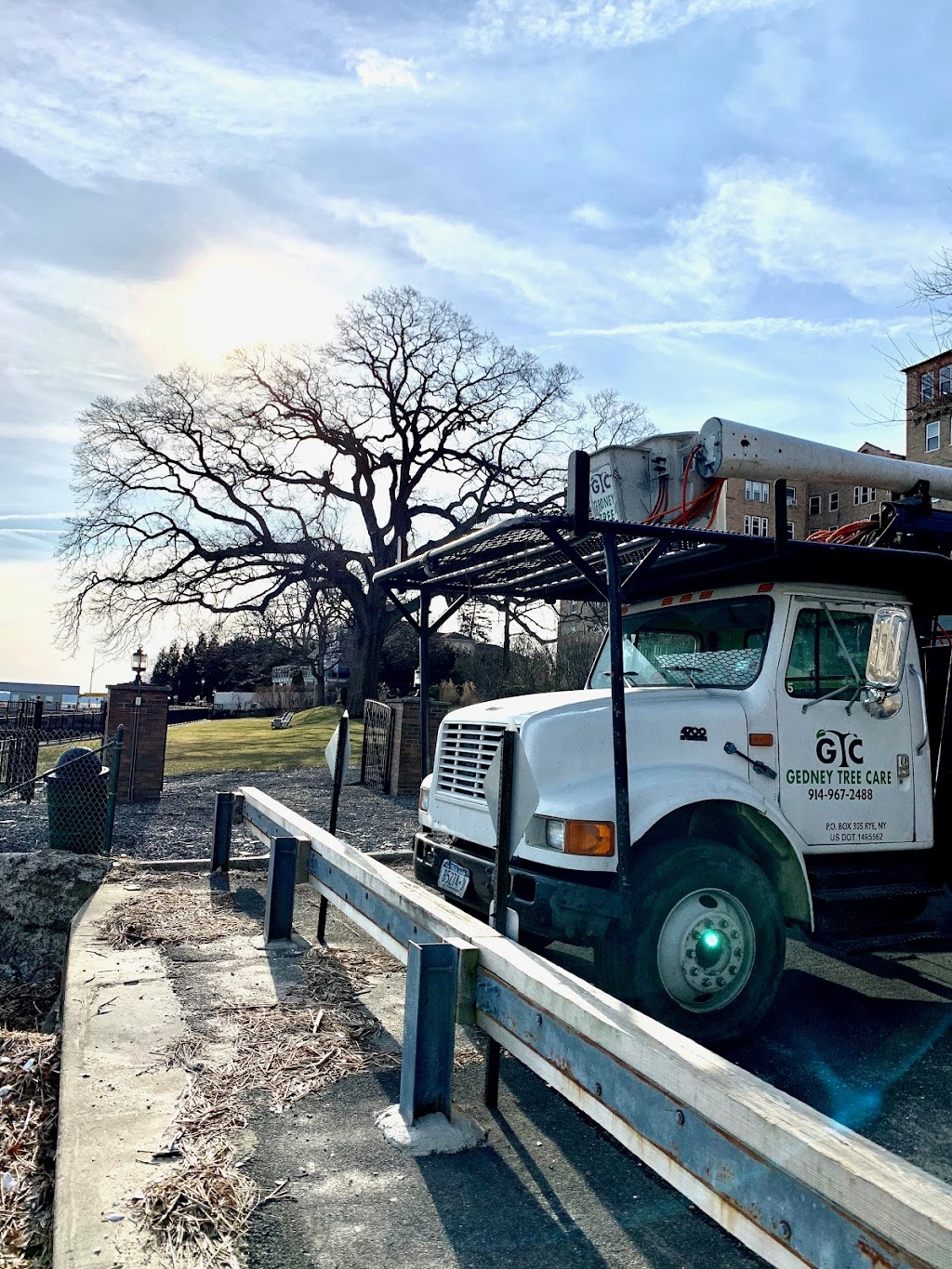 Gedney Tree Care | 1600 Harrison Ave, Mamaroneck, NY 10543, USA | Phone: (914) 967-2488