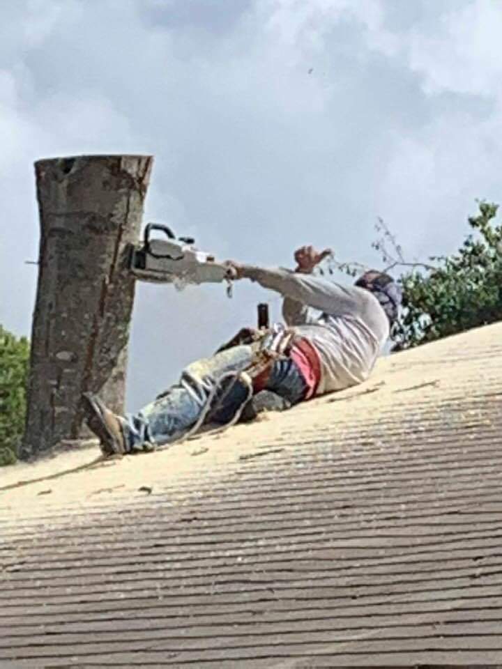 Adeleyvis Vazquez trees service | 240 goodwin ct, Lockhart, TX 78644, USA | Phone: (786) 239-5711