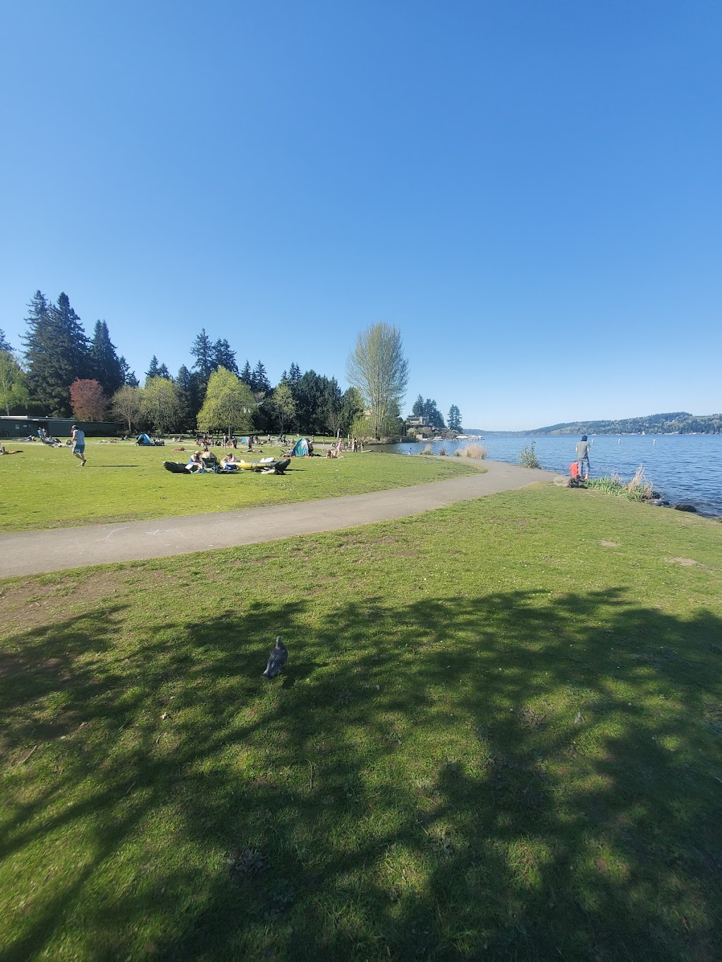 Matthews Beach Park | 5100 NE 93rd St, Seattle, WA 98115 | Phone: (206) 684-4075