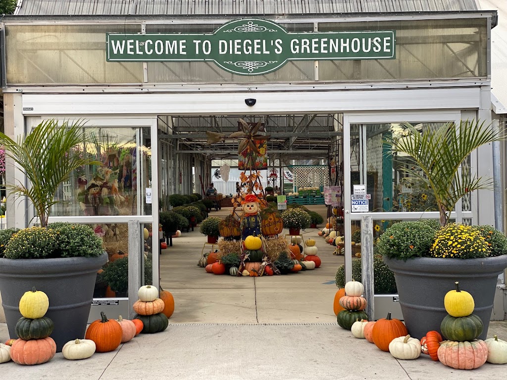 Diegels Greenhouse | 14499 25 Mile Rd, Shelby Township, MI 48315, USA | Phone: (586) 781-4463