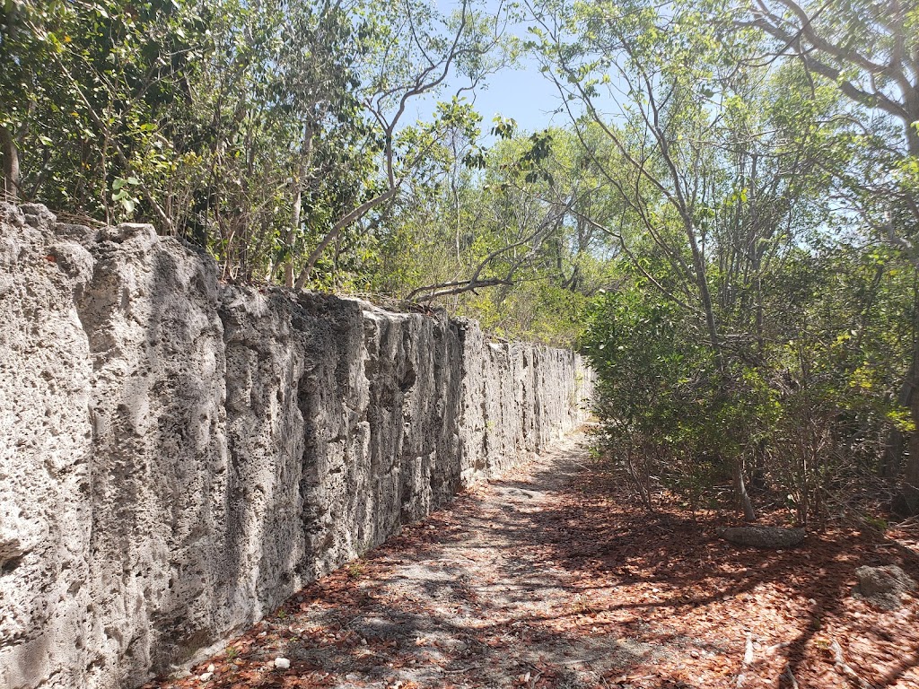 Windley Key Fossil Reef Geological State Park | 84900 Overseas Hwy, Islamorada, FL 33036, USA | Phone: (305) 664-2540