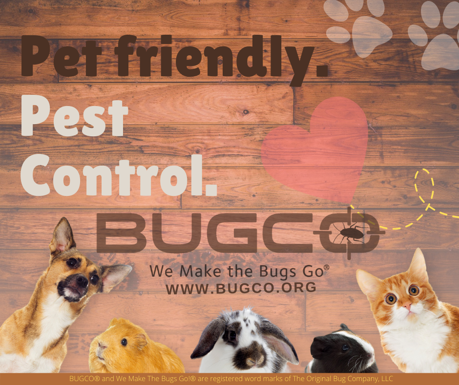 BUGCO Pest Control | 137 Serenity Dr, Boerne, TX 78006, USA | Phone: (210) 340-2847