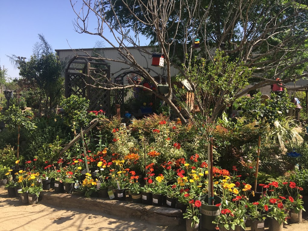 Robbys Nursery & Calico Gardens | 4002 Terracotta Ct, Bakersfield, CA 93314, USA | Phone: (661) 588-0859