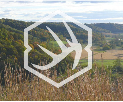 Jordan Bauer - Coulee Land Company | E7051 90th Ave, Mondovi, WI 54755, USA | Phone: (715) 317-5858