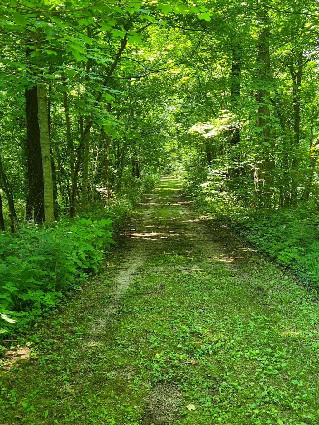 Caesar Creek Gorge State Nature Preserve | 4080 Corwin Rd, Oregonia, OH 45054 | Phone: (614) 265-6561