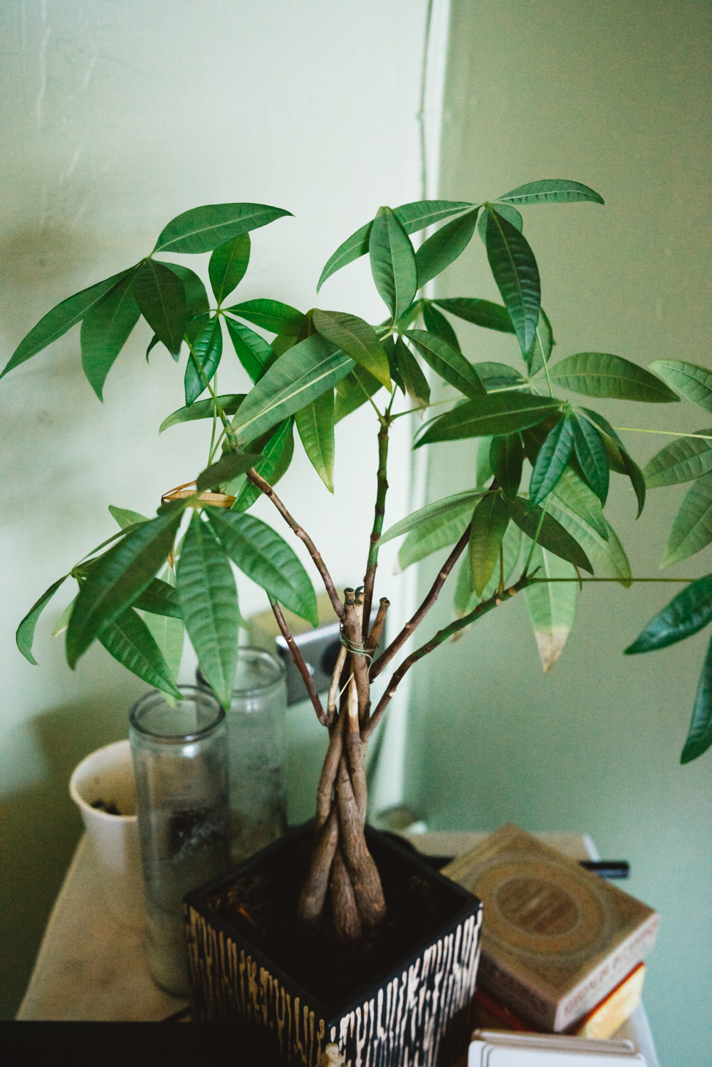 Elevate Yoga | 5022 E Colfax Ave, Denver, CO 80220, USA | Phone: (303) 478-4763