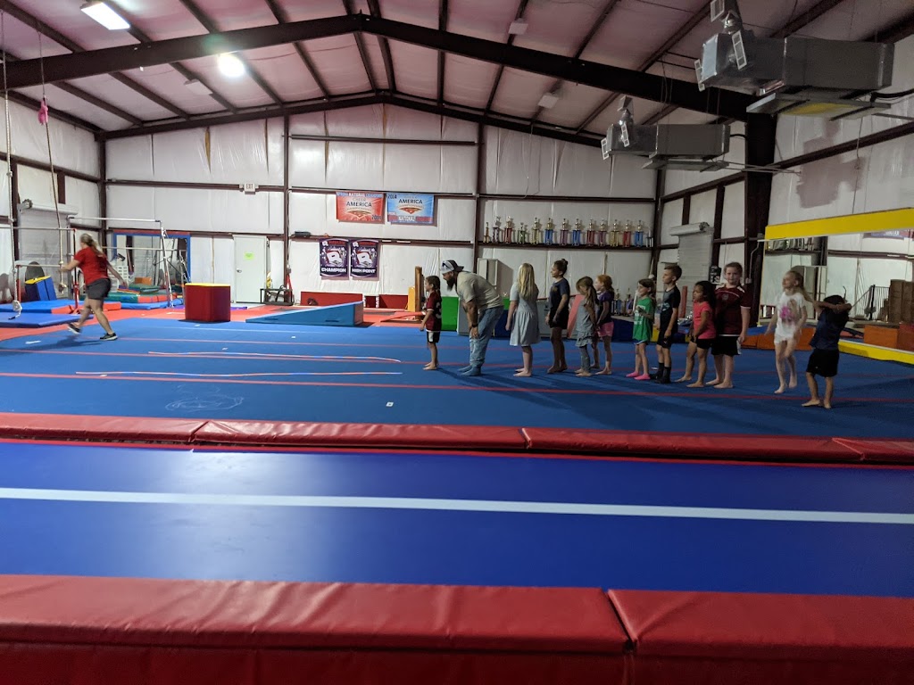 Flips For Fun | 11695 Alta Vista Rd, Keller, TX 76244 | Phone: (817) 741-3867