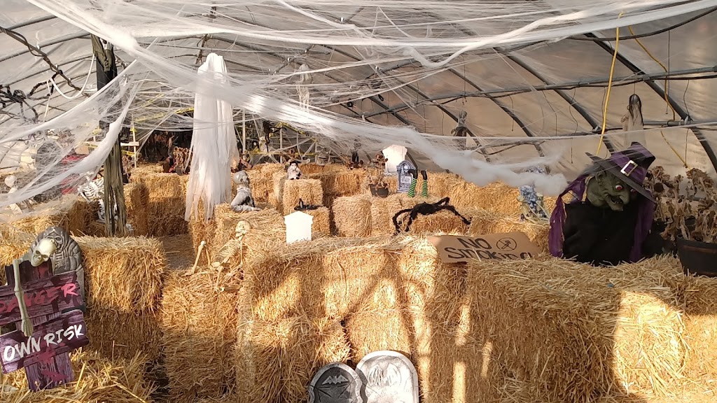 Andys Produce | 4645 Gravois Rd, House Springs, MO 63051, USA | Phone: (636) 671-1201