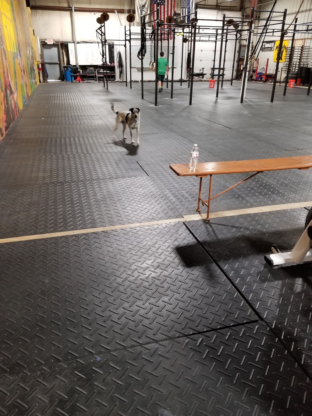 Blind Dog Gym | 1607 State Road 60 Building 52 Suite E, 1607 OH-60 Building 52 Suite E, Vermilion, OH 44089, USA | Phone: (440) 781-2072