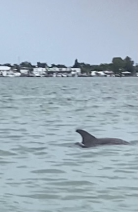 Fun Wave Rentals | 8383 Manatee Ave W, Bradenton, FL 34209, USA | Phone: (941) 718-4838