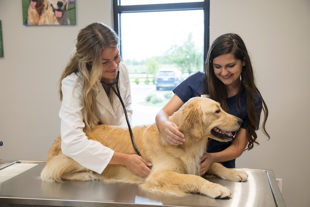 NewDay Veterinary Care | 15020 Brown Mill Rd, Huntersville, NC 28078, USA | Phone: (704) 885-5427