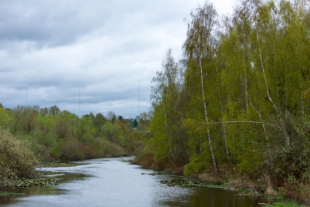 Bellefields Trailhead Parking | 1881-2083 118th Ave SE, Bellevue, WA 98005, USA | Phone: (844) 361-4636