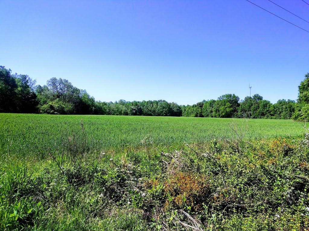 Suffolk Seaboard Coastline Trail | Suffolk, VA 23435, USA | Phone: (757) 514-7250