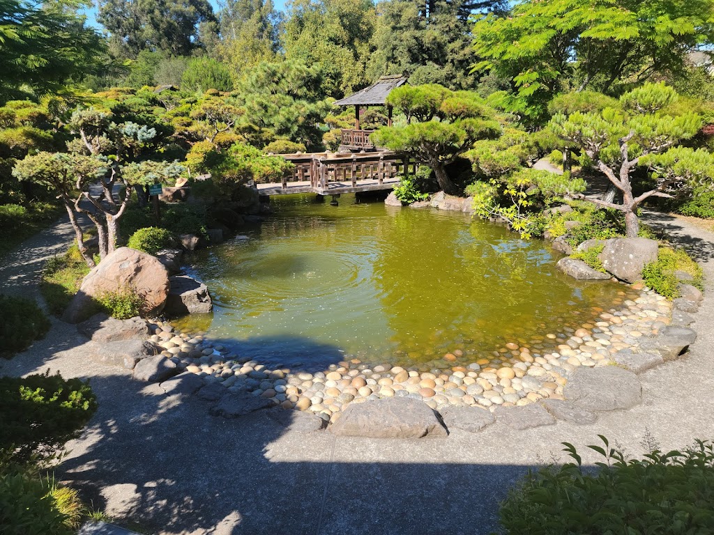 Hayward Japanese Gardens | 22373 N 3rd St, Hayward, CA 94546, USA | Phone: (510) 881-6700