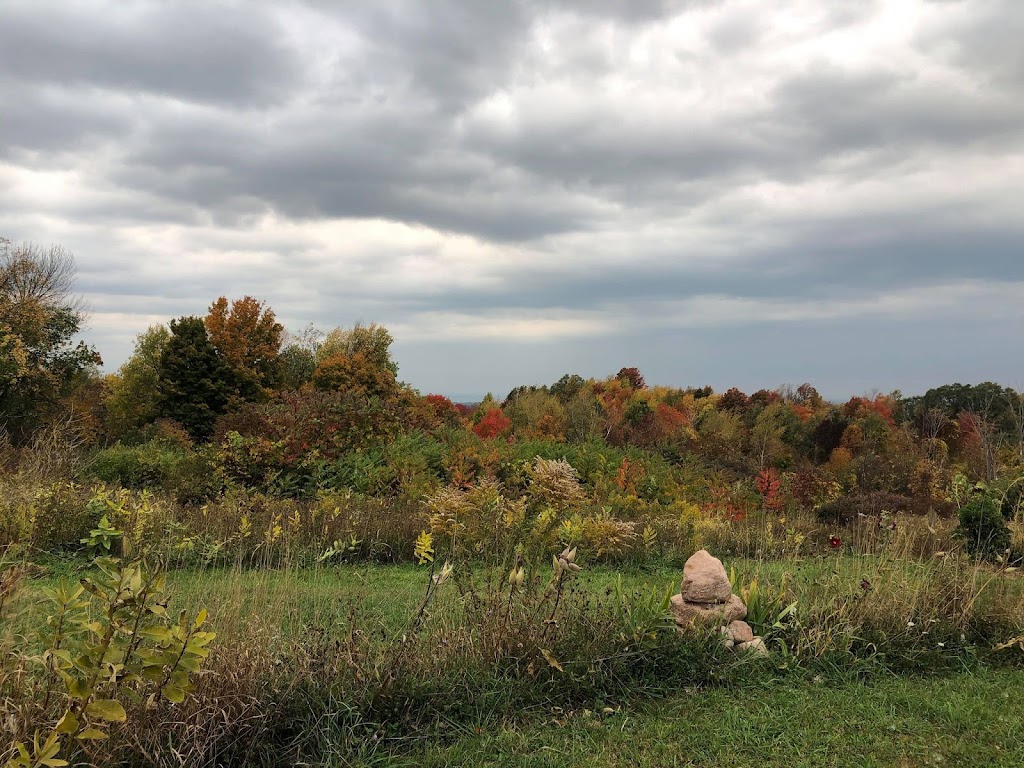 Greystone Nature Preserve | 8531 Bear Lake Rd, Fredonia, NY 14063, USA | Phone: (716) 679-6603