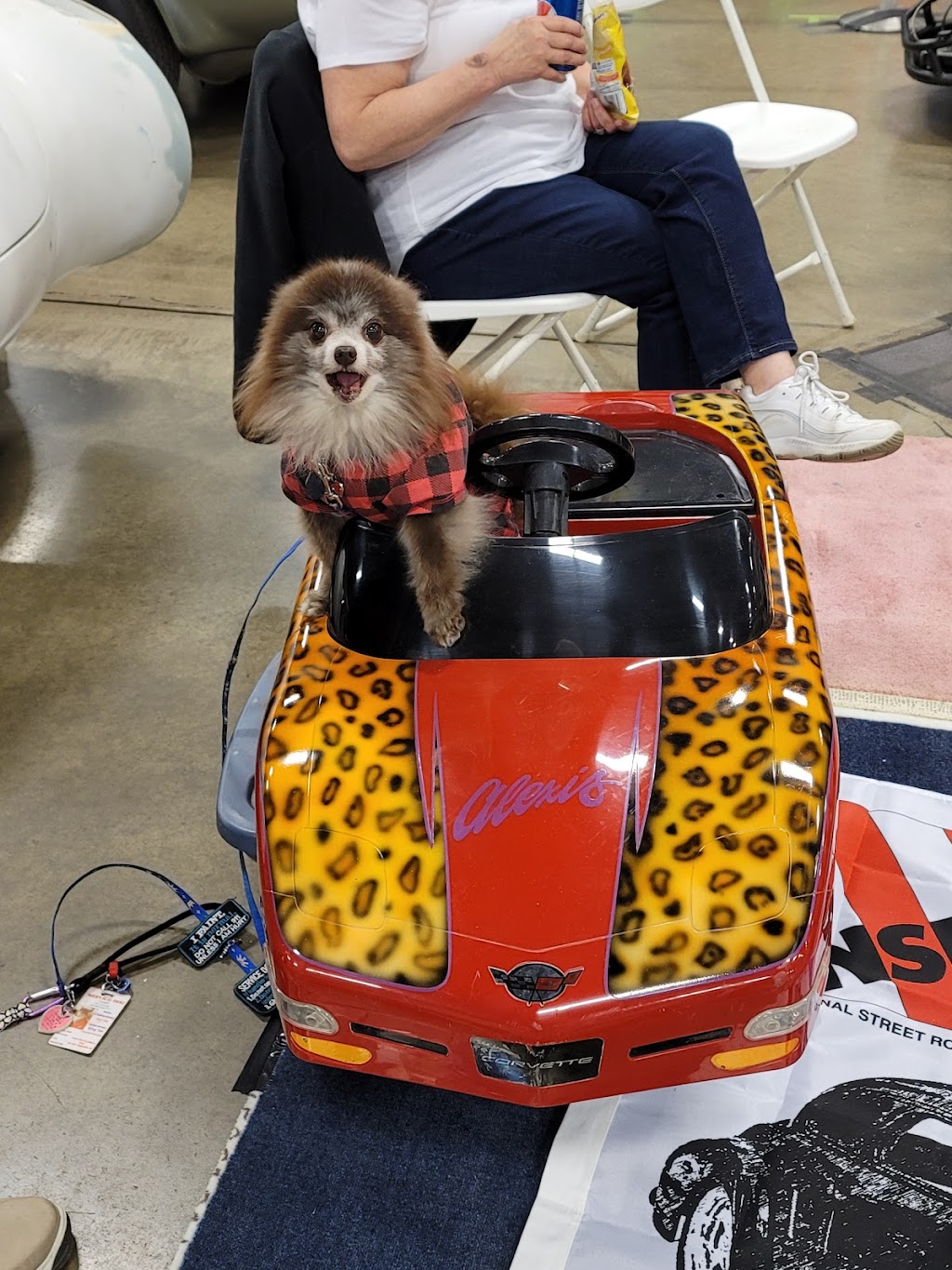 Forestville Animal Hospital | 27 Main St, Forestville, NY 14062, USA | Phone: (716) 965-1021