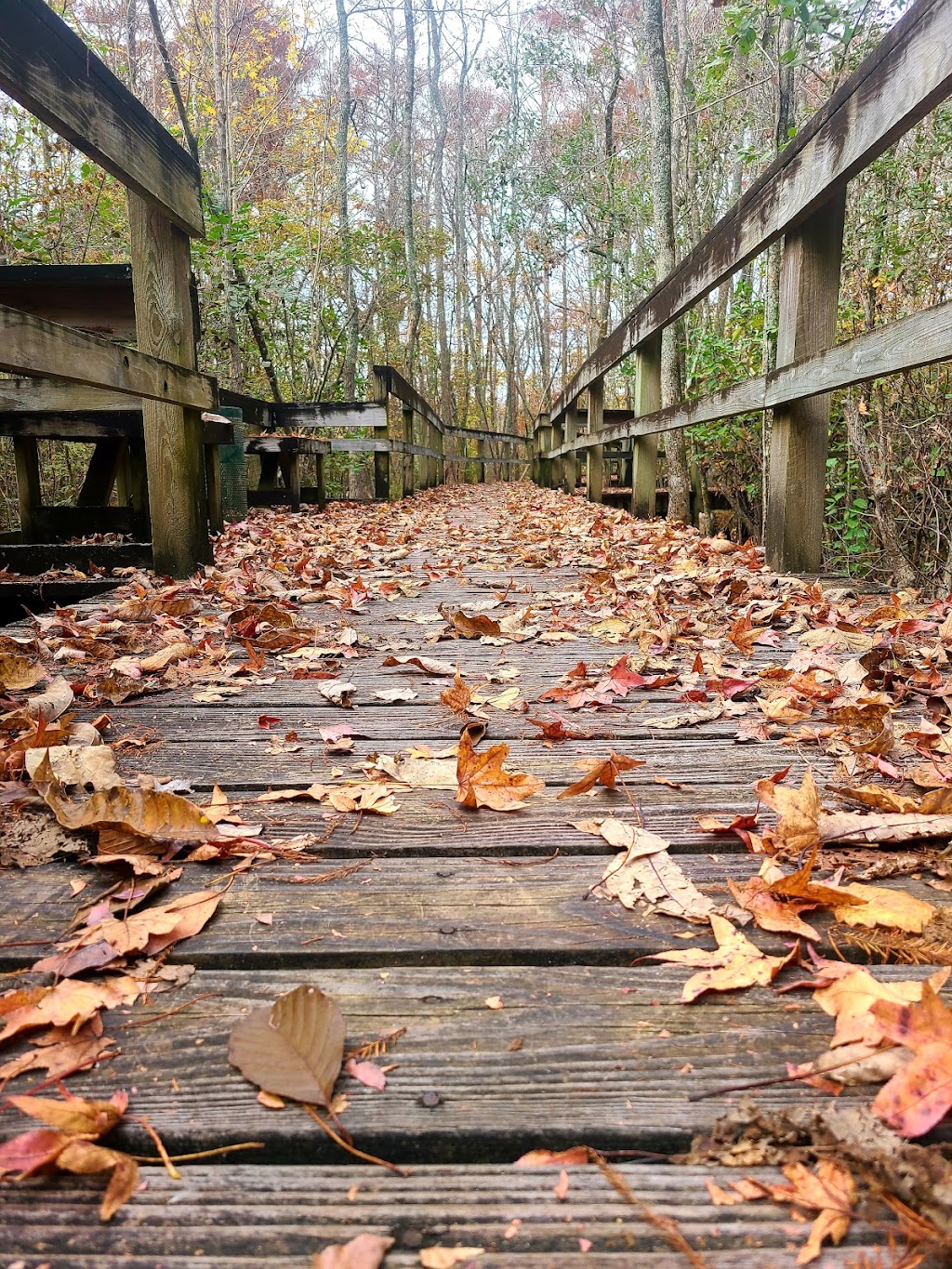 Senior Boardwalk | Camden, NC 27921, USA | Phone: (252) 338-1919