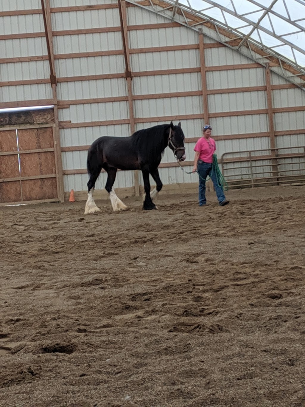 Solid Rock Therapeutic Riding Center | 10911 Market Ave NW, Uniontown, OH 44685, USA | Phone: (330) 990-1777