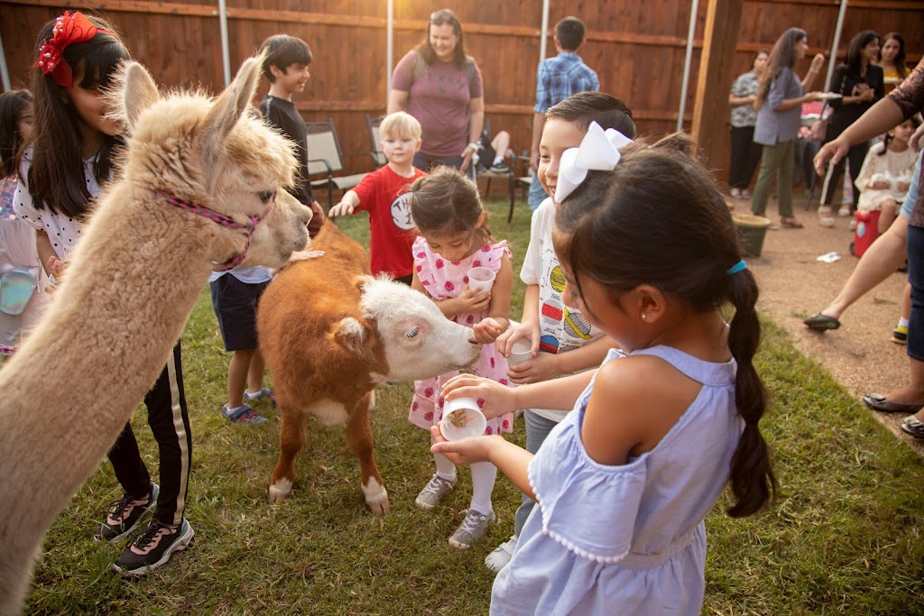 Air Ponies- DFW Mobile petting zoo,pony rides and more | 11470 Gordon Ln, Mabank, TX 75147, USA | Phone: (469) 441-1994