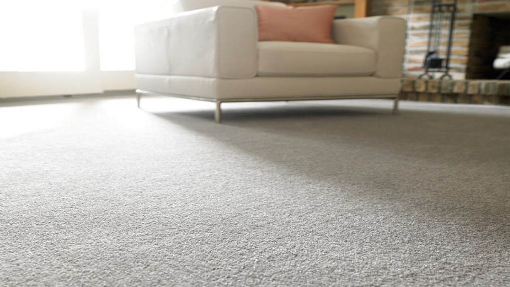 Midwest Carpet - Ohio | 8432 Central Ave Unit 8, Sylvania, OH 43560, USA | Phone: (734) 729-4198