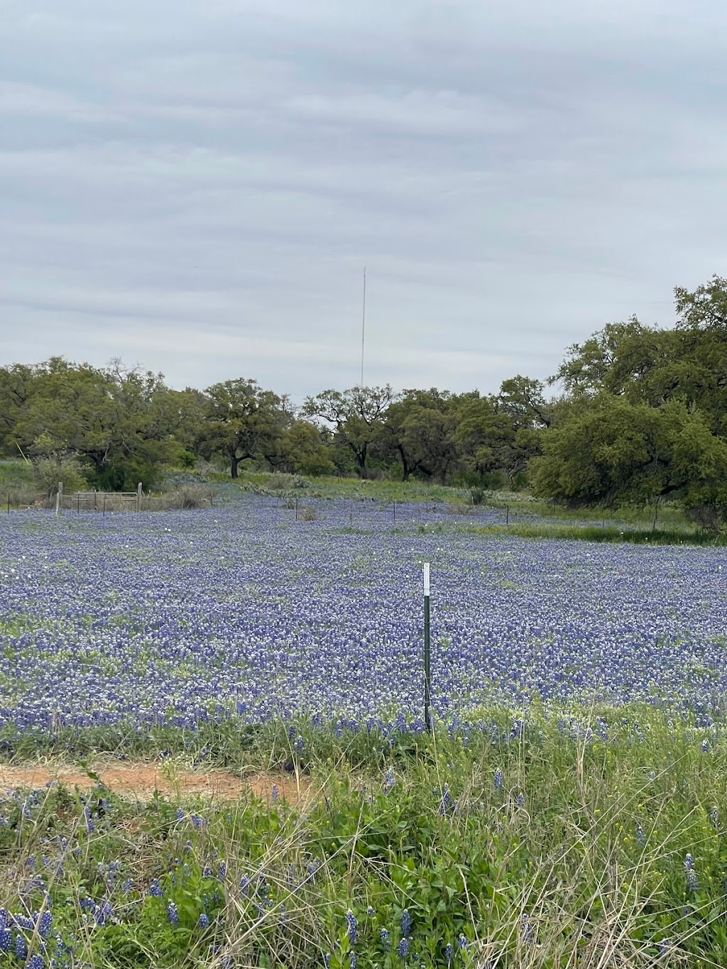 Bluebonnet Trails Community Services | 4606 Innovation Loop, Marble Falls, TX 78654, USA | Phone: (844) 309-6385