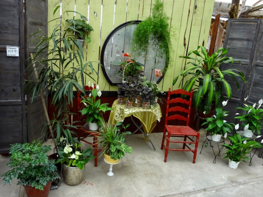 Park Greenhouse Garden Center | 12813 W Ripon Rd, Ripon, CA 95366, USA | Phone: (209) 599-3410