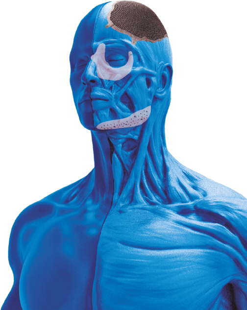 TECHFIT Digital Surgery | 1511 Aviation Center Pkwy Suite 220H, Daytona Beach, FL 32114, USA | Phone: (386) 872-0872