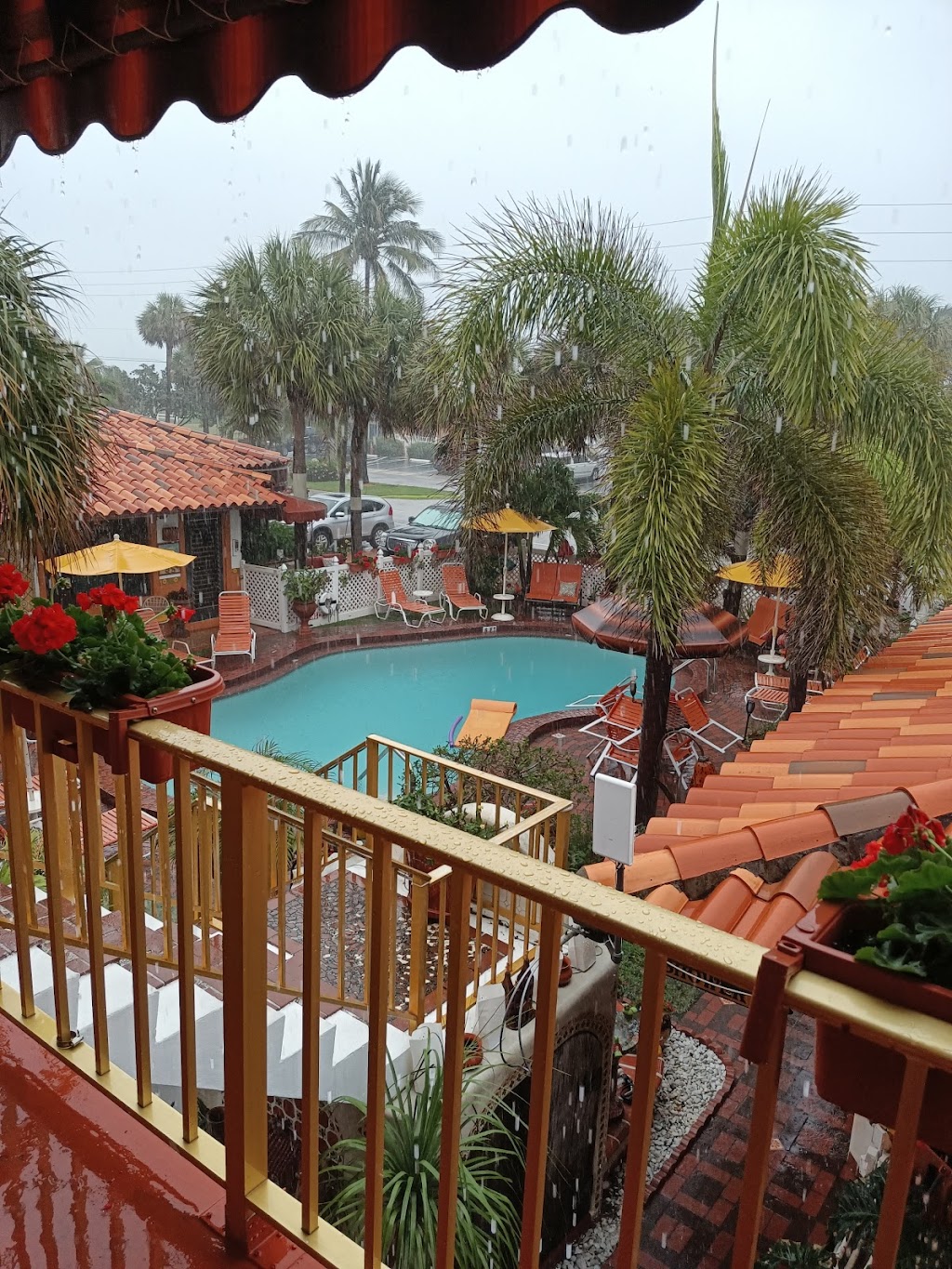 Blue Seas Courtyard | 4525 El Mar Dr, Lauderdale-By-The-Sea, FL 33308, USA | Phone: (954) 772-3336