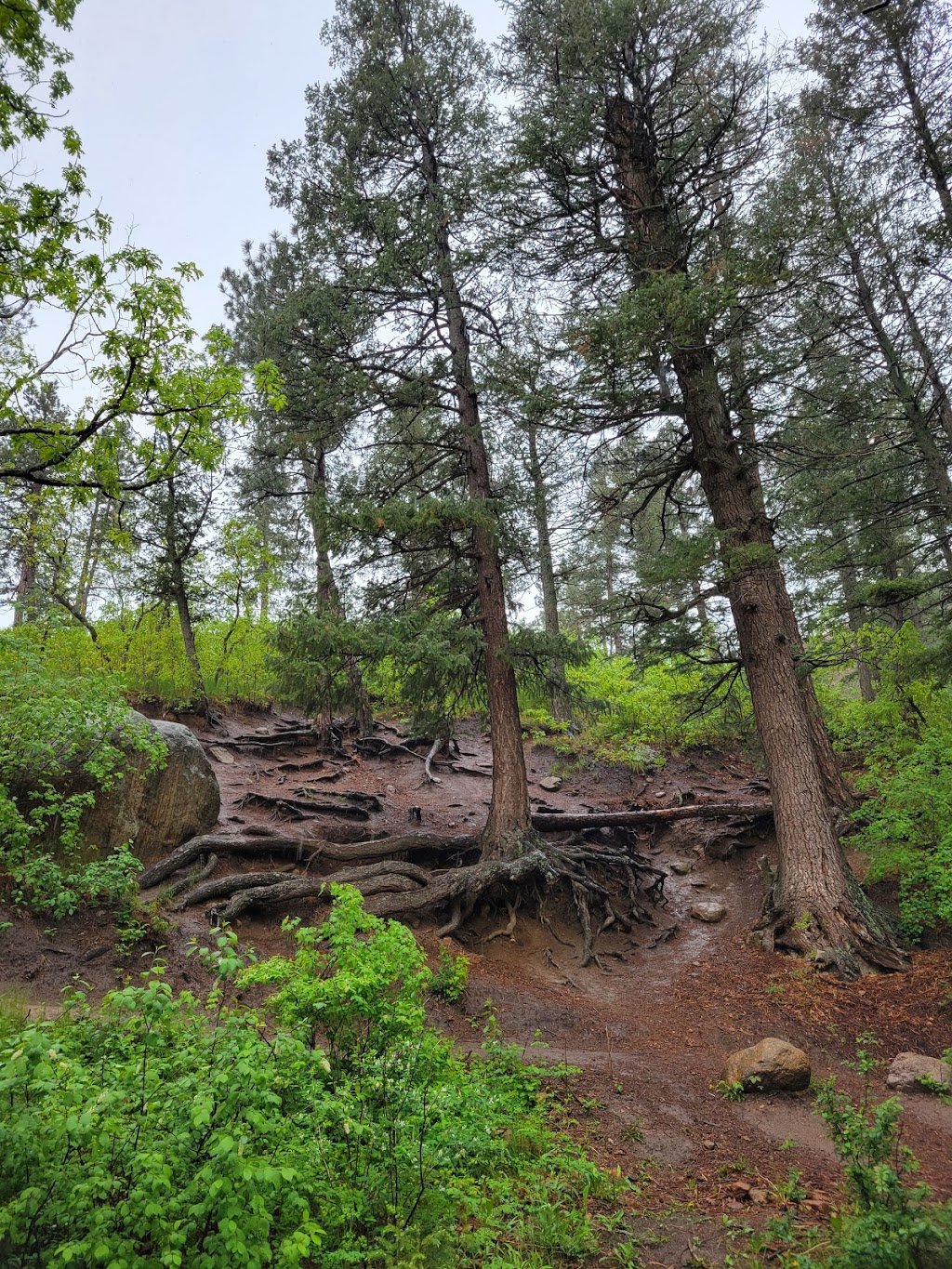 Starsmore Visitor and Nature Center | 2120 S Cheyenne Canyon Rd, Colorado Springs, CO 80906, USA | Phone: (719) 385-6086