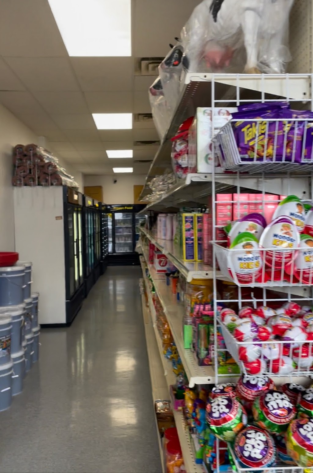 Budget Groceries | 531 South Ave, Tallmadge, OH 44278, USA | Phone: (330) 934-1412