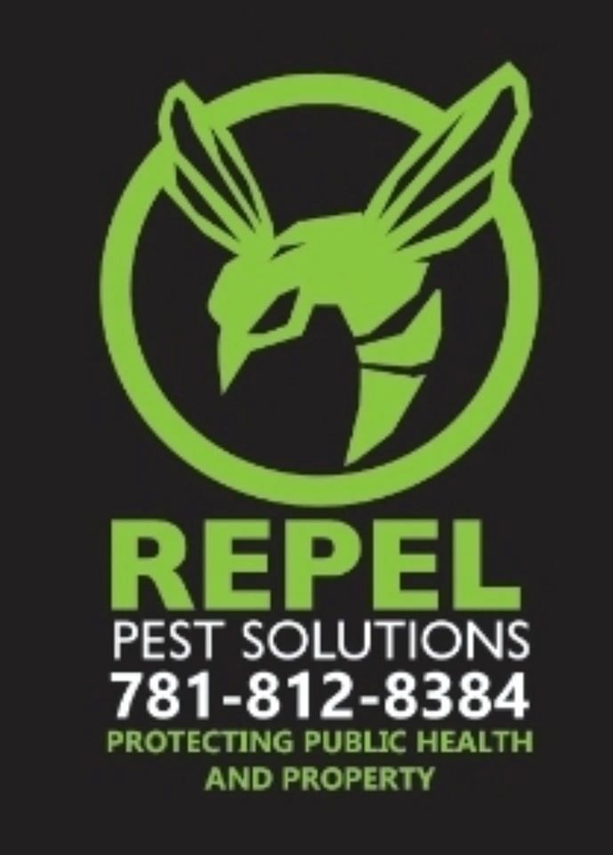 Repel Pest Solutions | 254 Ocean St, Marshfield, MA 02050, USA | Phone: (781) 812-8384