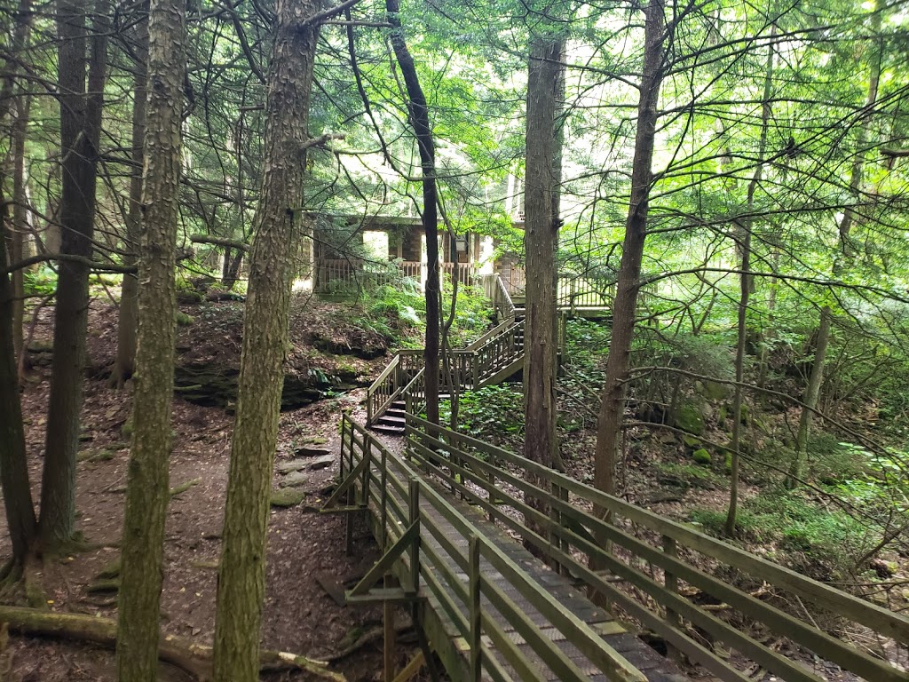 Todd Nature Reserve | 367 Kepple Rd, Sarver, PA 16055, USA | Phone: (412) 963-6100