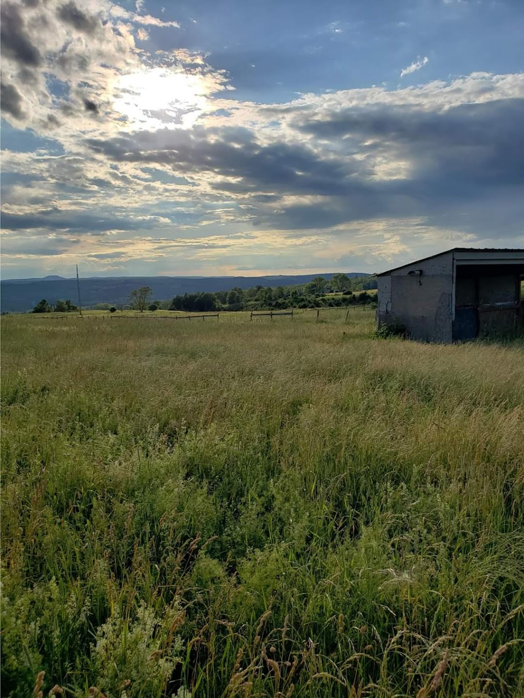 Lucky Duck Farm | 6067 NY-30, Schoharie, NY 12157, USA | Phone: (518) 244-0777