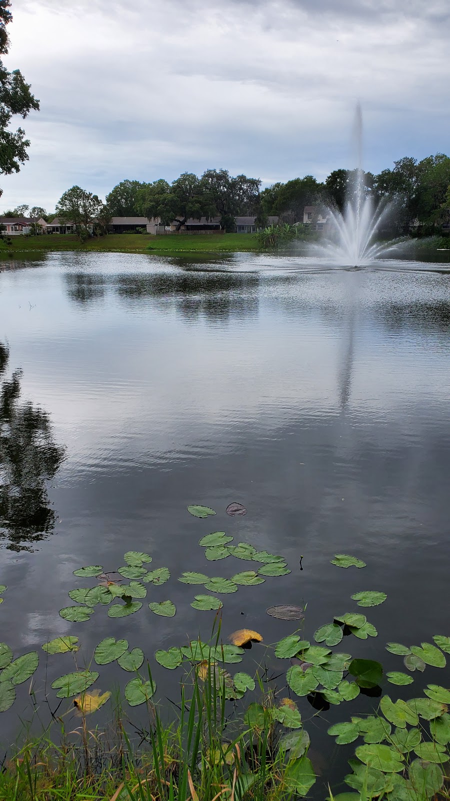 Monterey Lakeside Park | 602 Monterey Blvd, Tampa, FL 33625, USA | Phone: (813) 744-5595