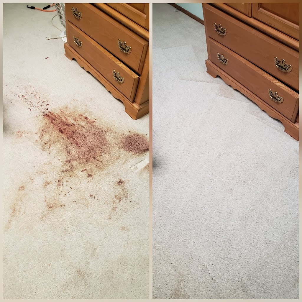 Pro Clean Specialists LLC Carpet and Tile cleaning | 5539 E Farmdale Ave, Mesa, AZ 85206, USA | Phone: (480) 241-7513