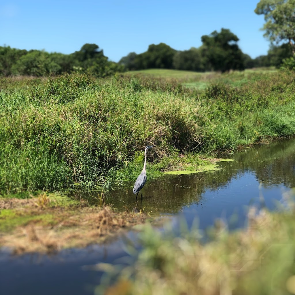 Bobby Jones Golf Club | 1000 Circus Blvd, Sarasota, FL 34232, USA | Phone: (941) 365-4653