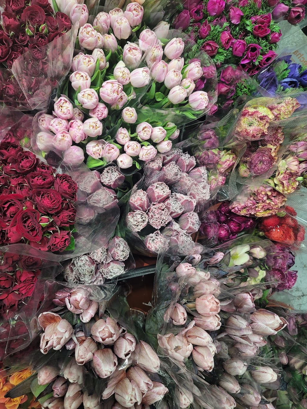 Valley wholesale florist | 15751 Roxford St UNIT C, Sylmar, CA 91342, USA | Phone: (818) 617-0207